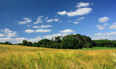 Obraz premium paysage de campagne