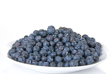 Blueberries on White Plate