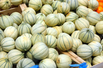 Moulon de Melons