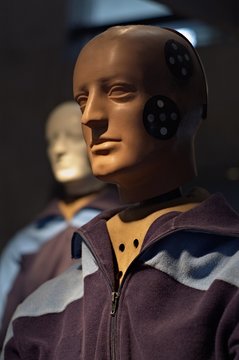 Portrait of a crashtest dummy.