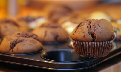Backform mit Schokoladen und Blaubeeren Muffins