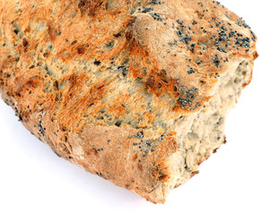 pain complet aux céréales et aux graines de pavot