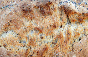 croûte de pain complet aux céréales et aux graines de pavot