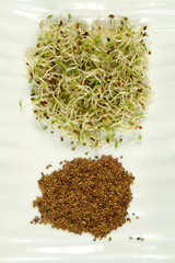 Sprouts and seeds
