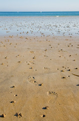 Low tide. Footprints and lugworm casts on a beach