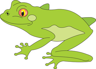 Frog