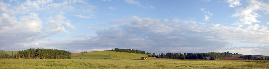 Naklejka premium Stitched Panorama