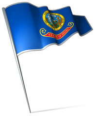 Flag pin - Idaho (USA)