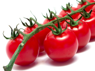 branch of cherry tomato #3