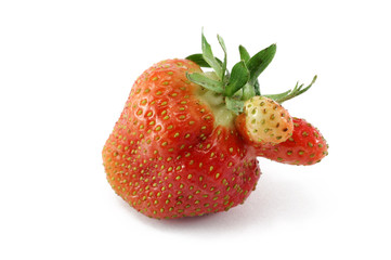 strawberry