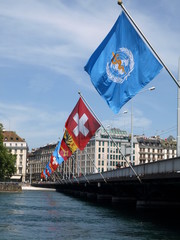 Flaggenmeer Schweiz WHO