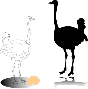 ostrich vector silhouettes