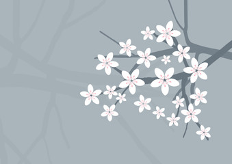 Vector Cherry Blossom Background