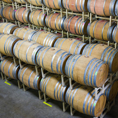 Napa Valley Wine Cellar