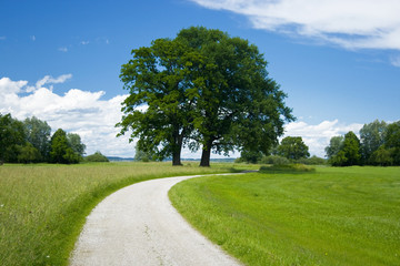 bavarian landscape with away on a nice weather day