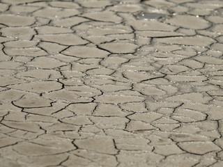 Ausgetrocknete erde