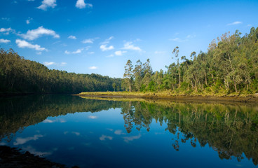 Obraz na płótnie Canvas Parque Natural Fraga do Eume - Galicia (España)