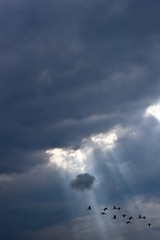Rays of light shining through dark clouds and birds fly by