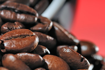 Arabica Kaffeebohnen für vollen Kaffeegenuss