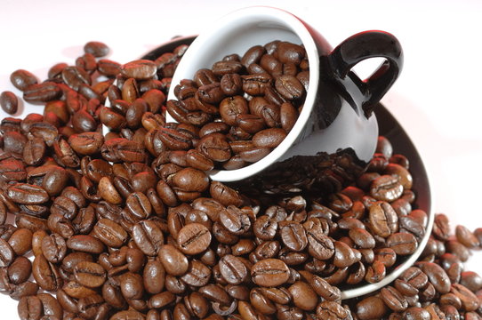 Arabica Kaffeebohnen für vollen Kaffeegenuss