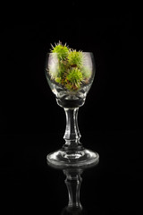 Glass full of chestnuts