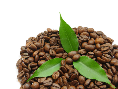 Coffe