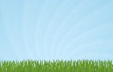 Fototapeta na wymiar Green Grass And Blue Sky Vector Background