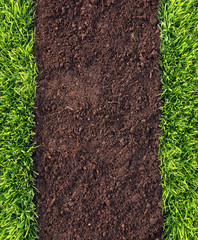grass and soil background - 14643957