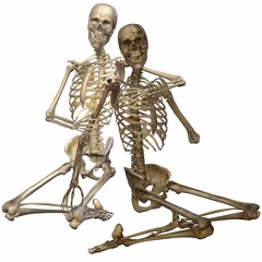 3D Skelette - Freunde auf ewig