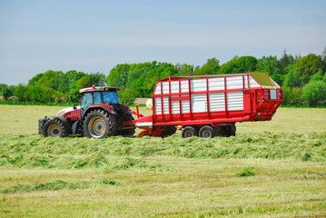 Obraz premium Traktor mit Ladewagen bei der Grasernte 062