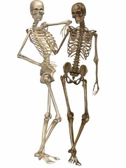 3D Skelette - Freunde auf ewig