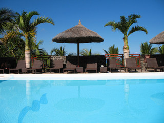 piscine chaises longues, palmiers et parasol végétal