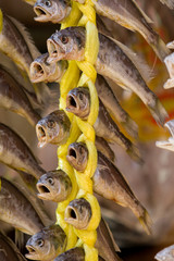Attached dry fish