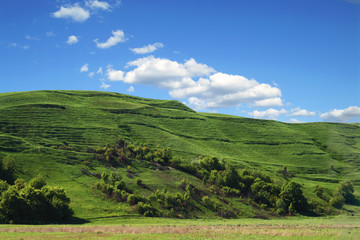Overview summer   landscape