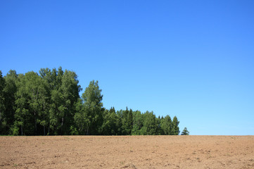 Fototapeta na wymiar Field and Blue Sky