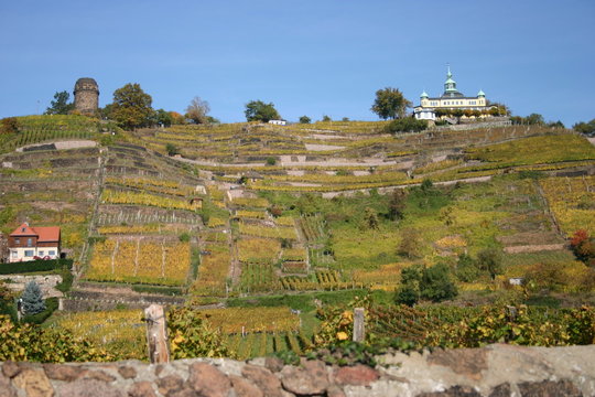 Radebeul Bilder Durchsuchen 1,295 Archivfotos, und