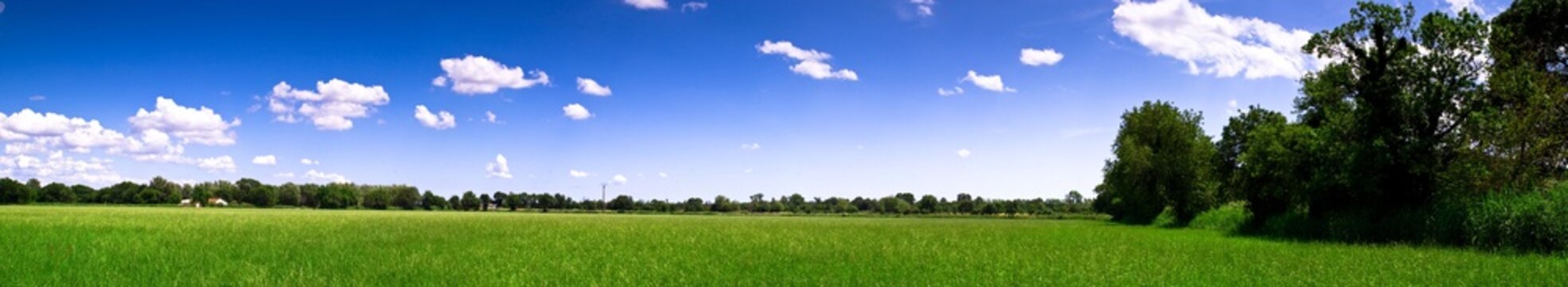 Prairie