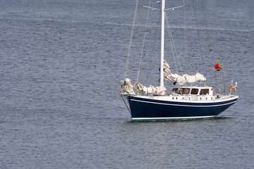 velero