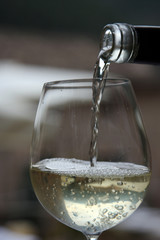 Pouring white wine