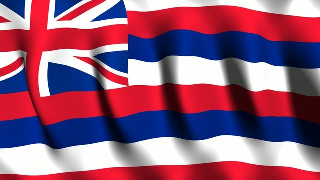 Hawaii (US) Flag