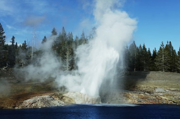 Geyser