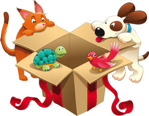 Gift and pets