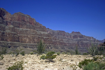 Fototapeta na wymiar Lifeless desert of Grand Canyon