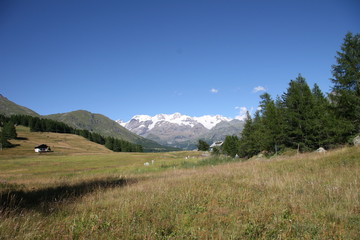 Fototapeta premium Montagana