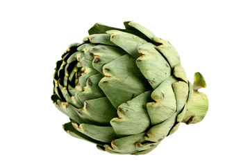 Fototapeta premium Artischocke