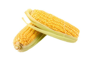 Maiskolben