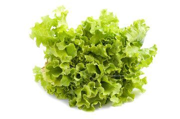 lettuce