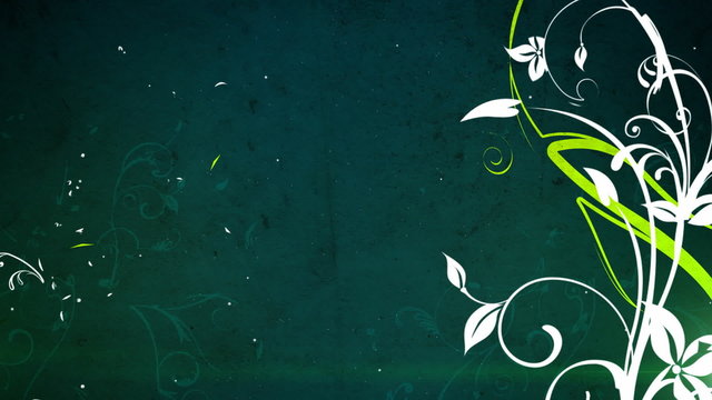 Vector flowers 3 loop