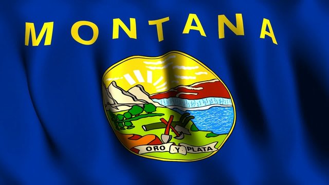 Montana (US) Flag