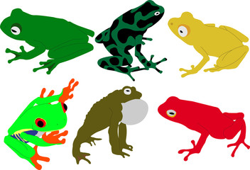 frogs vector